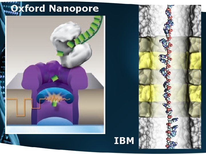 Oxford Nanopore IBM 