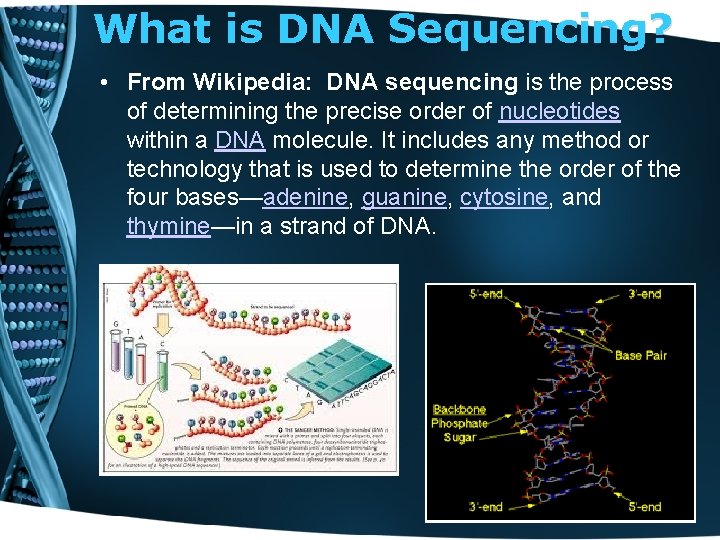 What is DNA Sequencing? • From Wikipedia: DNA sequencing is the process of determining