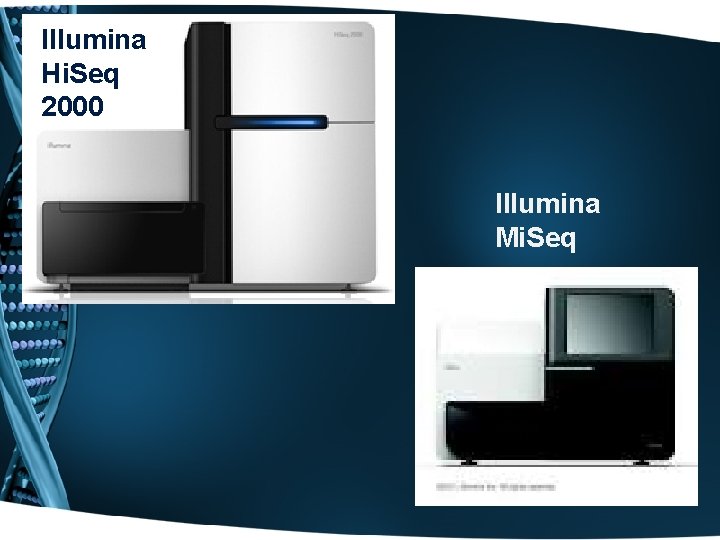 Illumina Hi. Seq 2000 Illumina Mi. Seq 