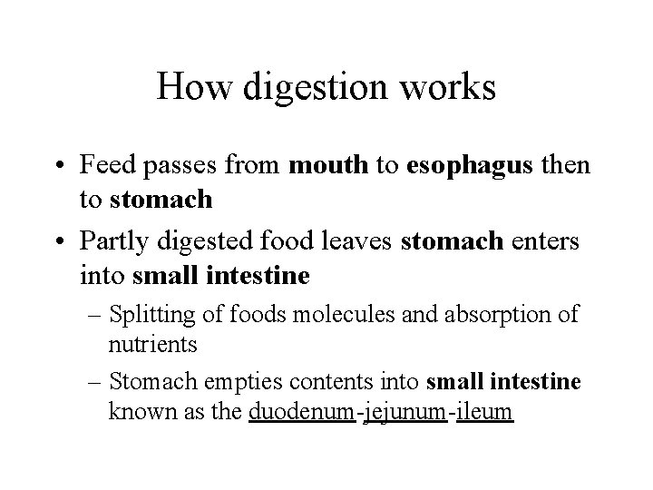 How digestion works • Feed passes from mouth to esophagus then to stomach •