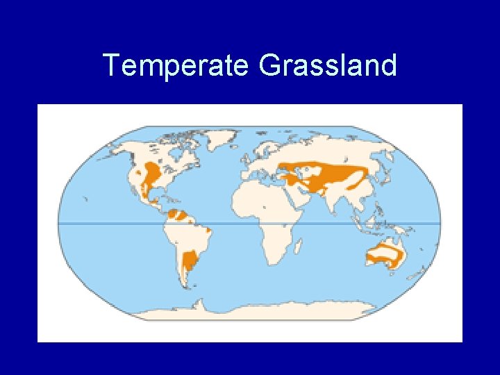 Temperate Grassland 