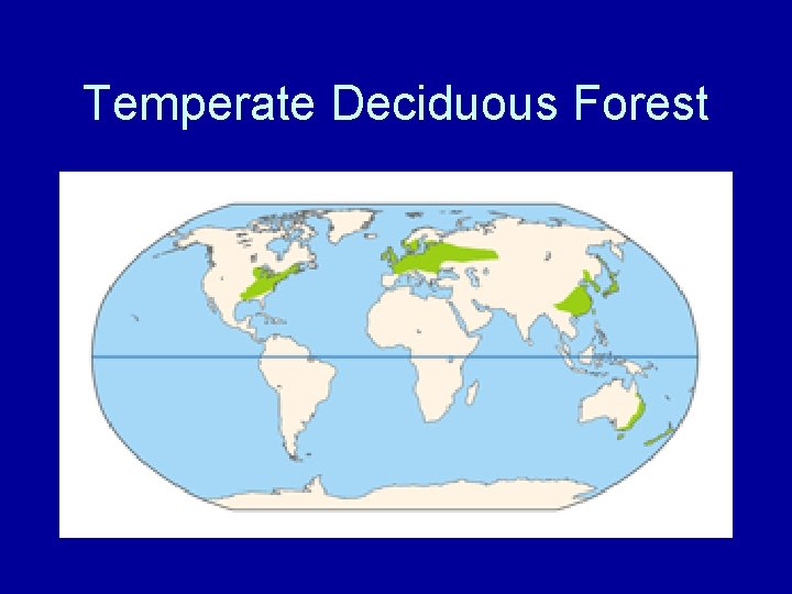 Temperate Deciduous Forest 