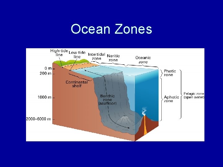 Ocean Zones 