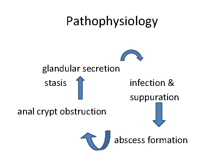 Pathophysiology glandular secretion stasis infection & suppuration anal crypt obstruction abscess formation 