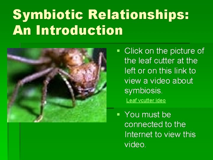 Symbiotic Relationships: An Introduction § Click on the picture of the leaf cutter at