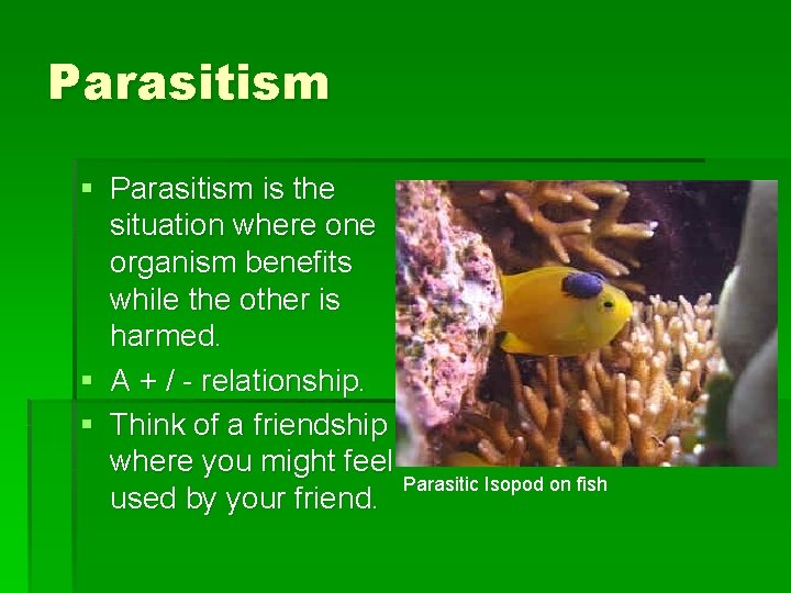 Parasitism § Parasitism is the situation where one organism benefits while the other is