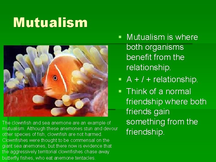 Mutualism § Mutualism is where both organisms benefit from the relationship. § A +