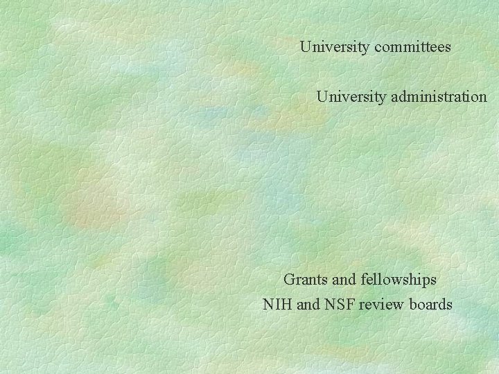 University committees University administration Grants and fellowships NIH and NSF review boards 