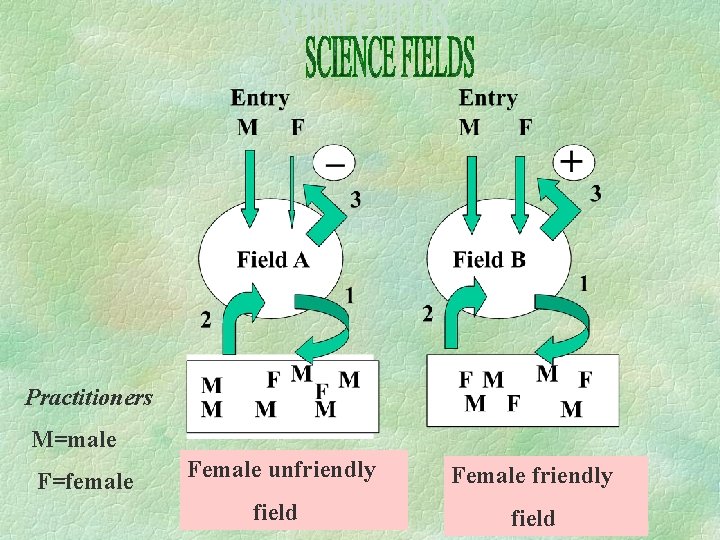 Practitioners M=male F=female Female unfriendly Female friendly field 