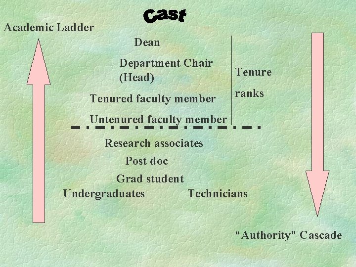 Academic Ladder Dean Department Chair (Head) Tenured faculty member Tenure ranks Untenured faculty member