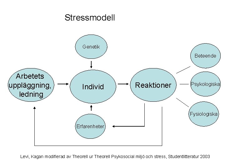 Stressmodell Genetik Beteende Arbetets uppläggning, ledning Individ Reaktioner Psykologiska Fysiologiska Erfarenheter Levi, Kagan modifierad