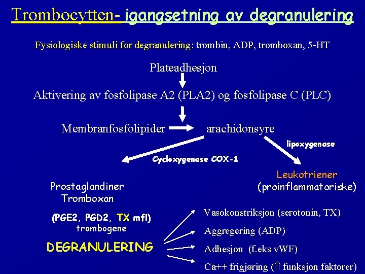 Trombocytten- igangsetning av degranulering Fysiologiske stimuli for degranulering: trombin, ADP, tromboxan, 5 -HT Plateadhesjon