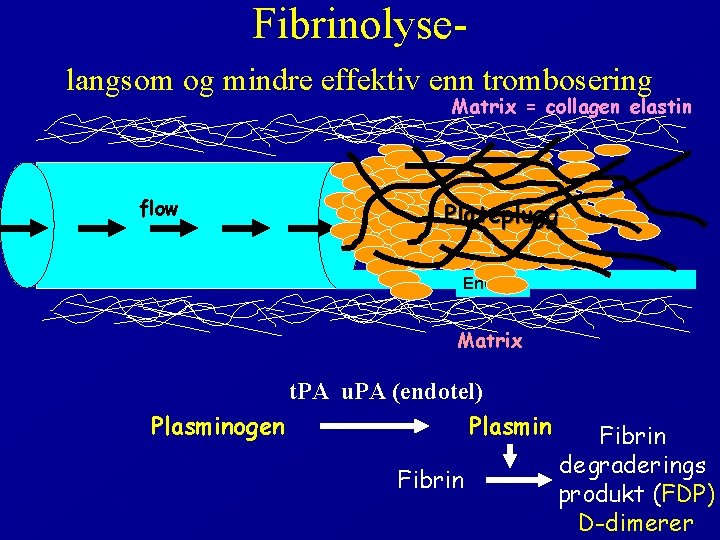 Fibrinolyselangsom og mindre effektiv enn trombosering Matrix = collagen elastin flow Plateplugg Endotel Matrix