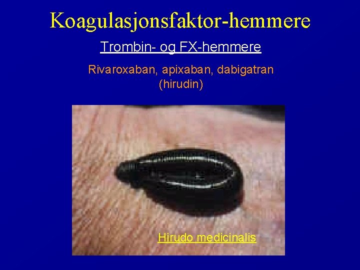 Koagulasjonsfaktor-hemmere Trombin- og FX-hemmere Rivaroxaban, apixaban, dabigatran (hirudin) Hirudo medicinalis 