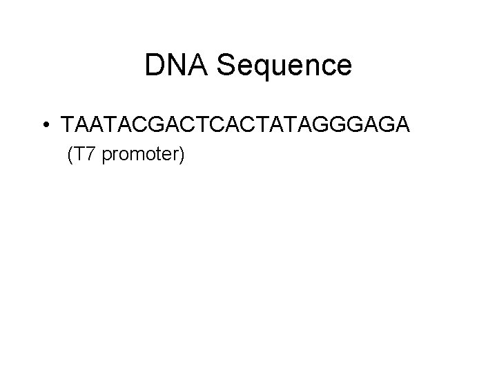 DNA Sequence • TAATACGACTCACTATAGGGAGA (T 7 promoter) 