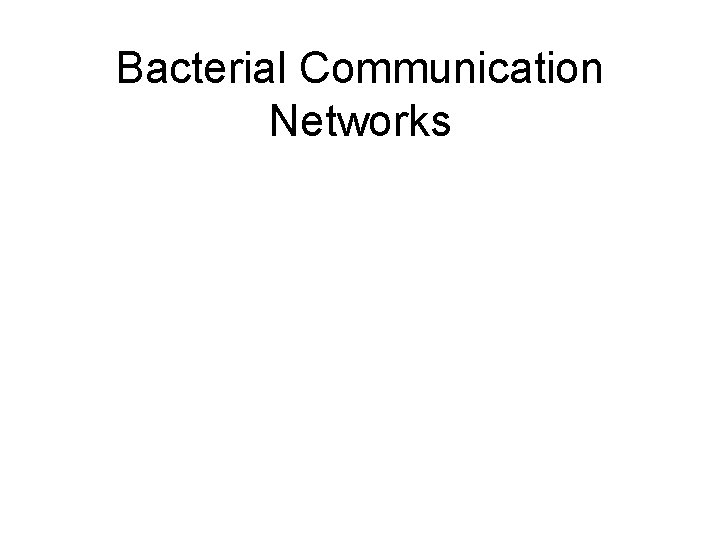 Bacterial Communication Networks 