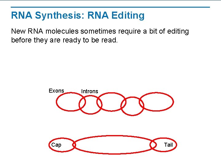 RNA Synthesis: RNA Editing New RNA molecules sometimes require a bit of editing before