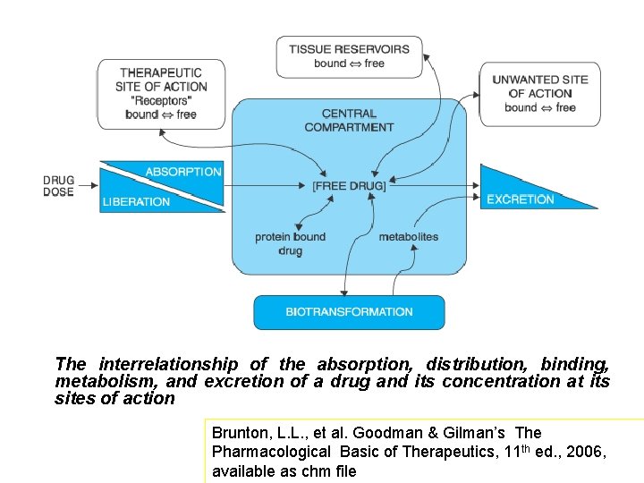 The interrelationship of the absorption, distribution, binding, metabolism, and excretion of a drug and