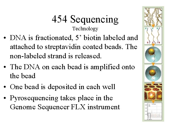 454 Sequencing Technology • DNA is fractionated, 5’ biotin labeled and attached to streptavidin