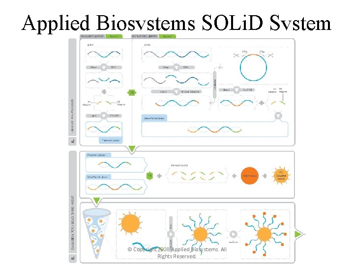 Applied Biosystems SOLi. D System © Copyright 2008 Applied Biosystems. All Rights Reserved. 