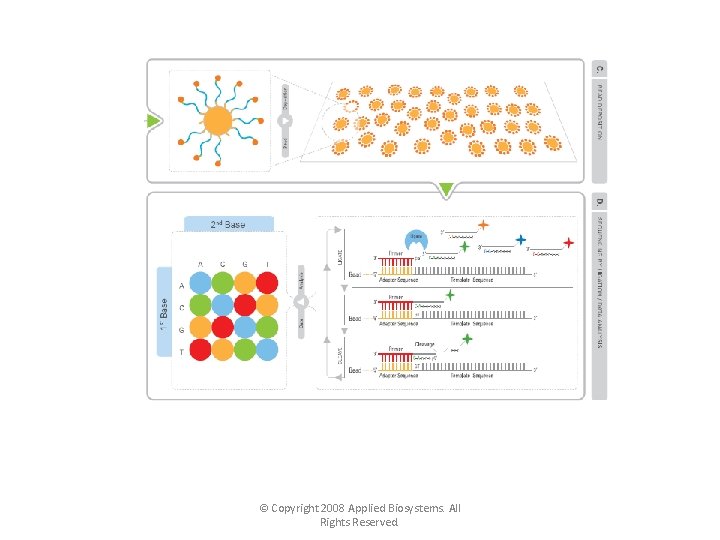 © Copyright 2008 Applied Biosystems. All Rights Reserved. 