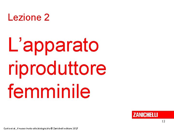 Lezione 2 L’apparato riproduttore femminile 12 Curtis et al. , Il nuovo Invito alla