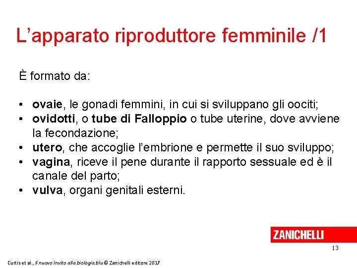 L’apparato riproduttore femminile /1 È formato da: • ovaie, le gonadi femmini, in cui