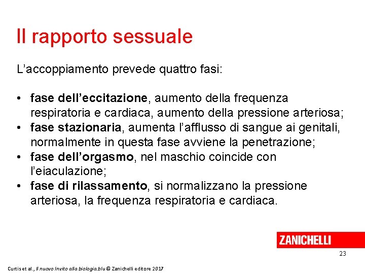 Il rapporto sessuale L’accoppiamento prevede quattro fasi: • fase dell’eccitazione, aumento della frequenza respiratoria