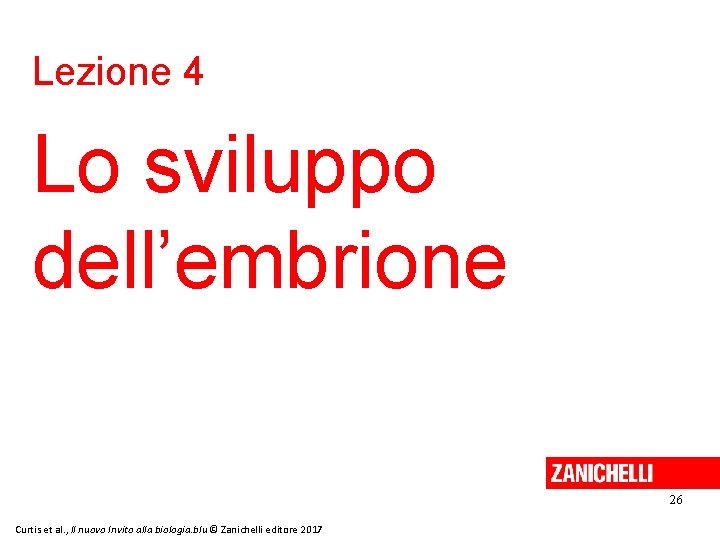 Lezione 4 Lo sviluppo dell’embrione 26 Curtis et al. , Il nuovo Invito alla