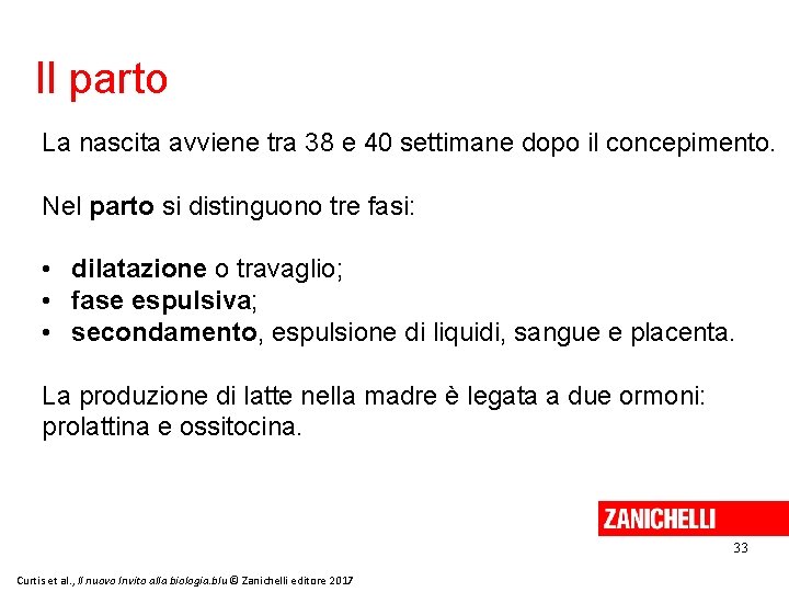 Il parto La nascita avviene tra 38 e 40 settimane dopo il concepimento. Nel