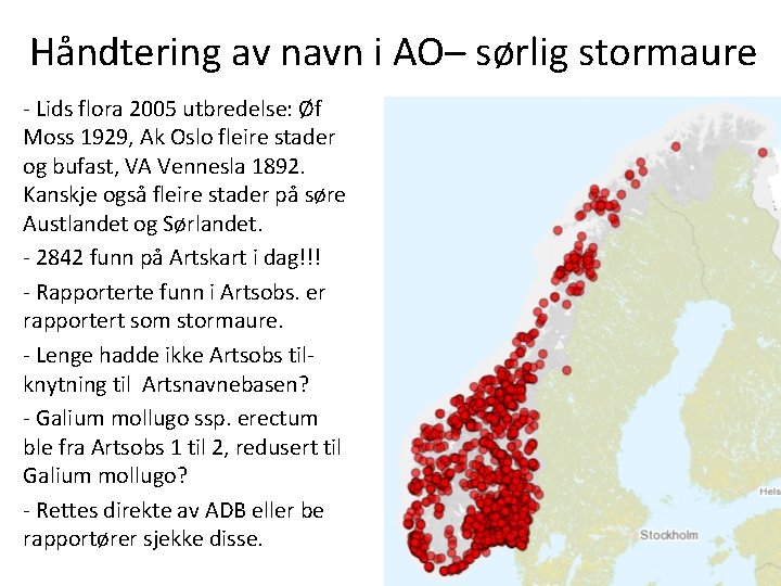 Håndtering av navn i AO– sørlig stormaure - Lids flora 2005 utbredelse: Øf Moss