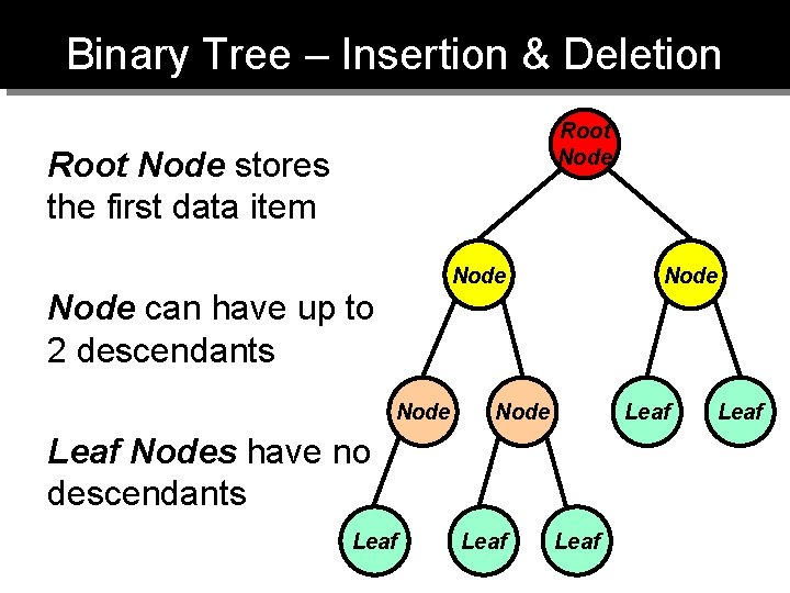 Binary Tree – Insertion & Deletion Root Node stores the first data item Node Binary Tree – Insertion & Deletion Root Node stores the first data item Node