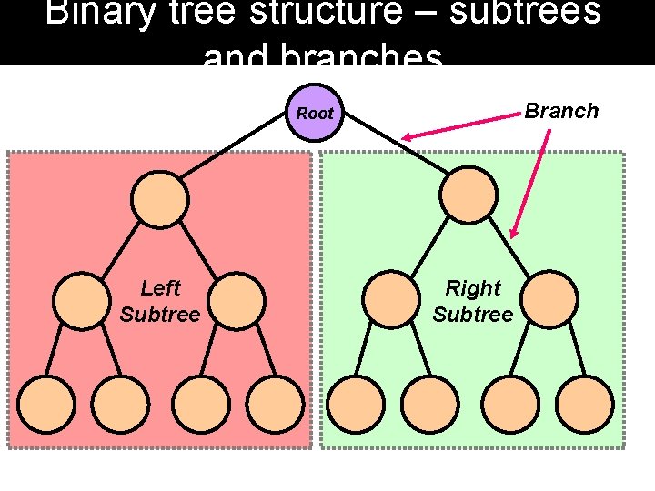 Binary tree structure – subtrees and branches Branch Root Left Subtree Right Subtree Binary tree structure – subtrees and branches Branch Root Left Subtree Right Subtree