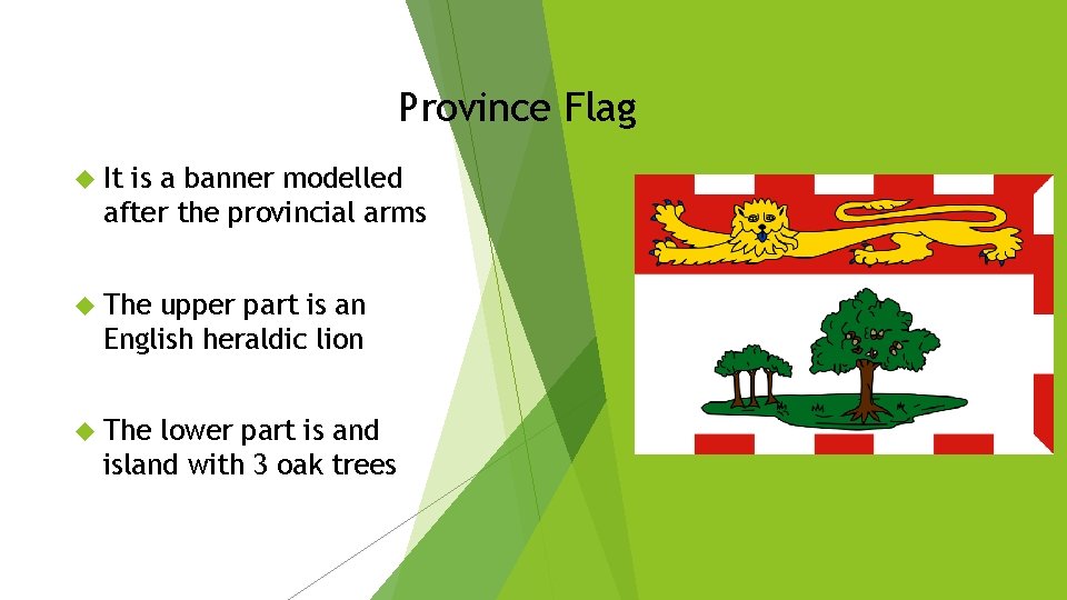 Province Flag It is a banner modelled after the provincial arms The upper part