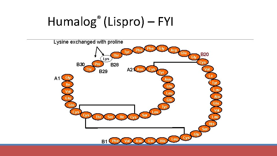 ® Humalog (Lispro) – FYI Lysine exchanged with proline Thr Lys B 30 Pro