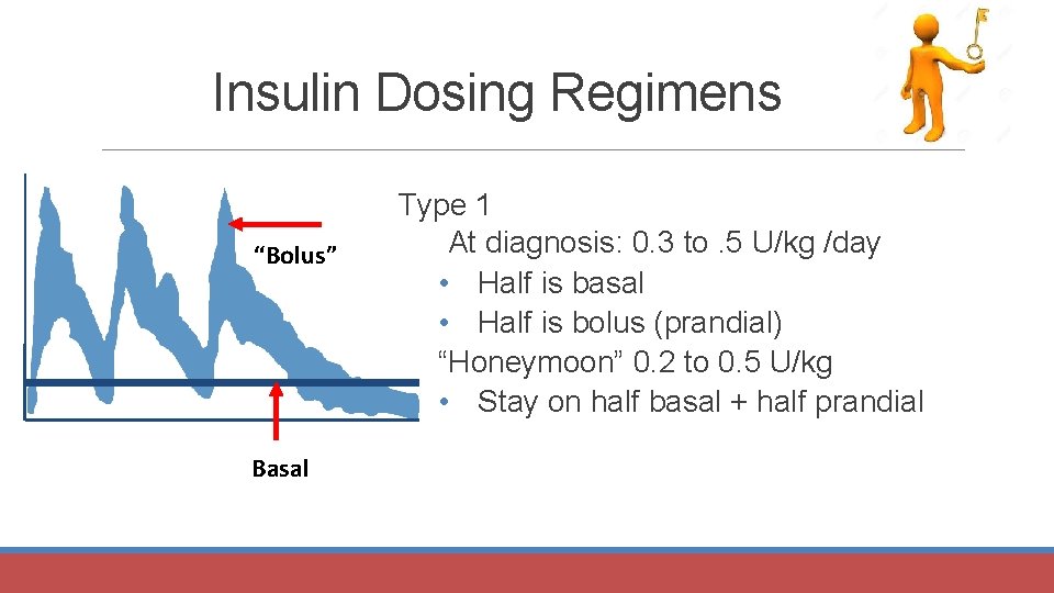 Insulin Dosing Regimens “Bolus” Basal Type 1 At diagnosis: 0. 3 to. 5 U/kg
