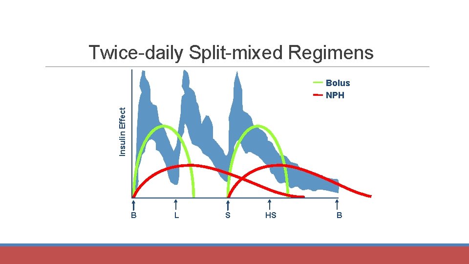 Twice-daily Split-mixed Regimens Insulin Effect Bolus NPH B L S HS B 