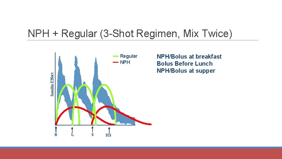 NPH + Regular (3 -Shot Regimen, Mix Twice) Insulin Effect Regular NPH B L