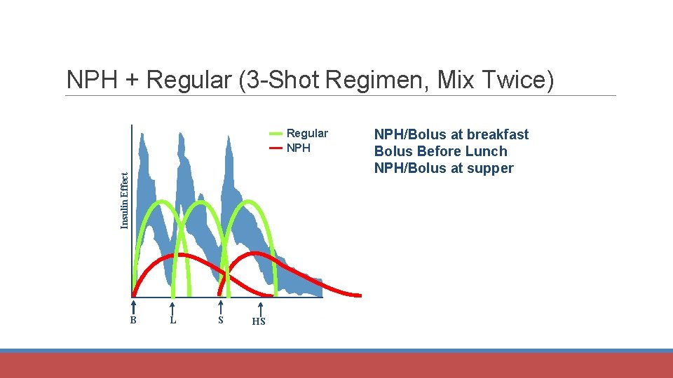 NPH + Regular (3 -Shot Regimen, Mix Twice) Insulin Effect Regular NPH B L