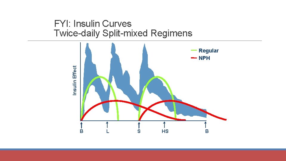 FYI: Insulin Curves Twice-daily Split-mixed Regimens Insulin Effect Regular NPH B L S HS