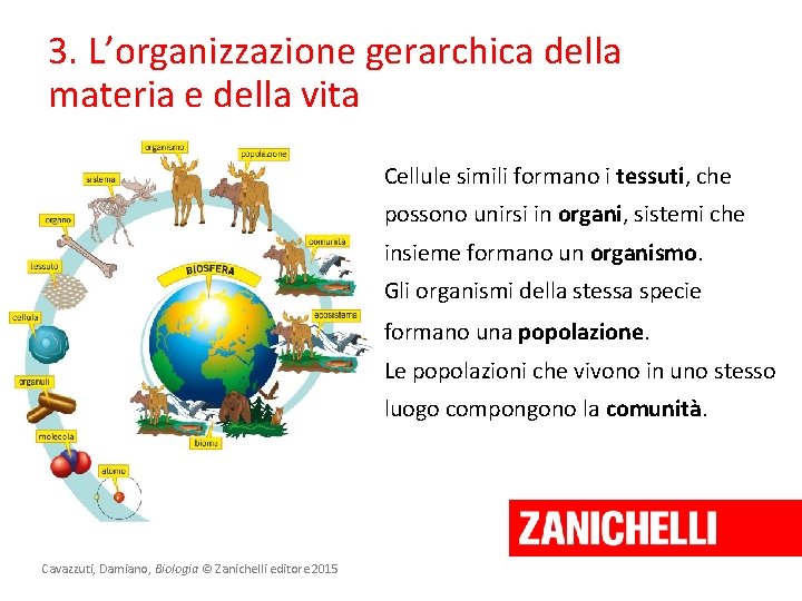 3. L’organizzazione gerarchica della materia e della vita Cellule simili formano i tessuti, che 3. L’organizzazione gerarchica della materia e della vita Cellule simili formano i tessuti, che