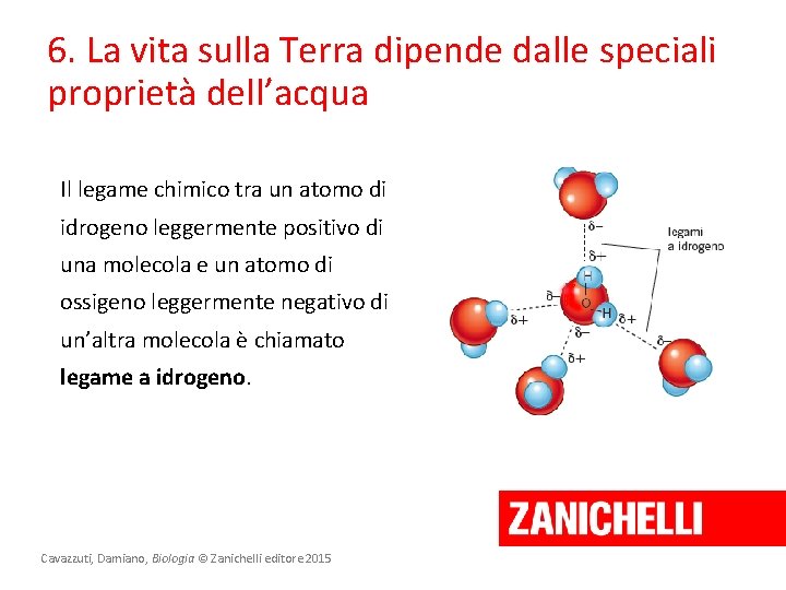 6. La vita sulla Terra dipende dalle speciali proprietà dell’acqua Il legame chimico tra 6. La vita sulla Terra dipende dalle speciali proprietà dell’acqua Il legame chimico tra