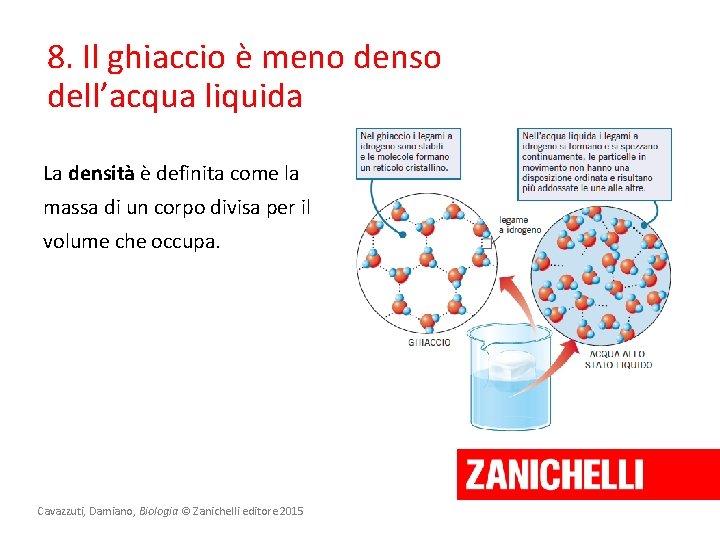 8. Il ghiaccio è meno denso dell’acqua liquida La densità è definita come la 8. Il ghiaccio è meno denso dell’acqua liquida La densità è definita come la