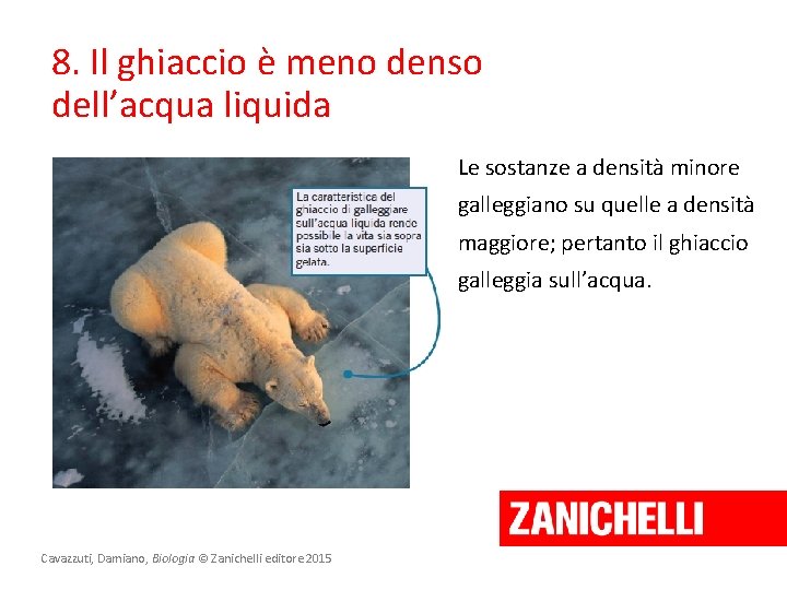 8. Il ghiaccio è meno denso dell’acqua liquida Le sostanze a densità minore galleggiano 8. Il ghiaccio è meno denso dell’acqua liquida Le sostanze a densità minore galleggiano