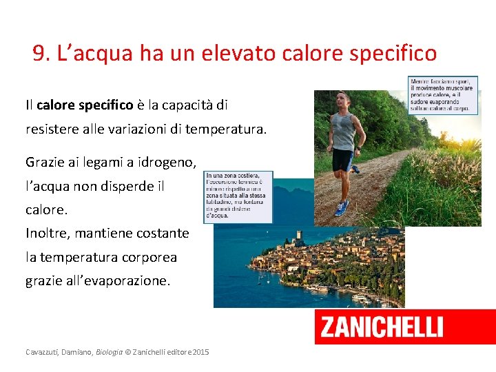 9. L’acqua ha un elevato calore specifico Il calore specifico è la capacità di 9. L’acqua ha un elevato calore specifico Il calore specifico è la capacità di