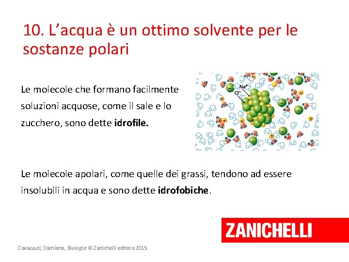 10. L’acqua è un ottimo solvente per le sostanze polari Le molecole che formano 10. L’acqua è un ottimo solvente per le sostanze polari Le molecole che formano