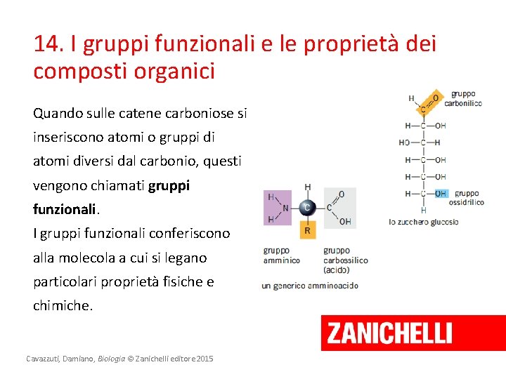14. I gruppi funzionali e le proprietà dei composti organici Quando sulle catene carboniose 14. I gruppi funzionali e le proprietà dei composti organici Quando sulle catene carboniose