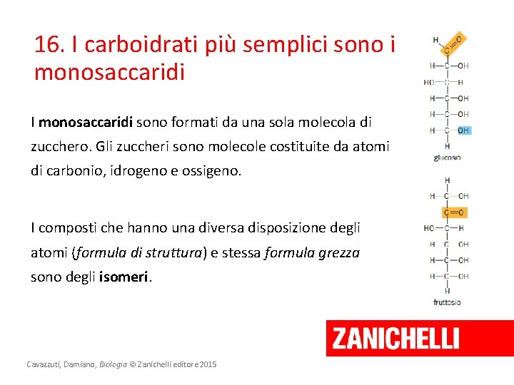 16. I carboidrati più semplici sono i monosaccaridi I monosaccaridi sono formati da una 16. I carboidrati più semplici sono i monosaccaridi I monosaccaridi sono formati da una