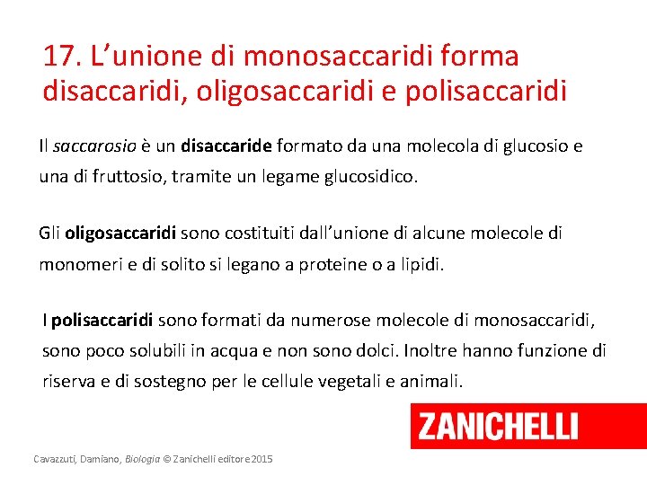 17. L’unione di monosaccaridi forma disaccaridi, oligosaccaridi e polisaccaridi Il saccarosio è un disaccaride 17. L’unione di monosaccaridi forma disaccaridi, oligosaccaridi e polisaccaridi Il saccarosio è un disaccaride