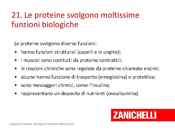 21. Le proteine svolgono moltissime funzioni biologiche Le proteine svolgono diverse funzioni: • hanno 21. Le proteine svolgono moltissime funzioni biologiche Le proteine svolgono diverse funzioni: • hanno